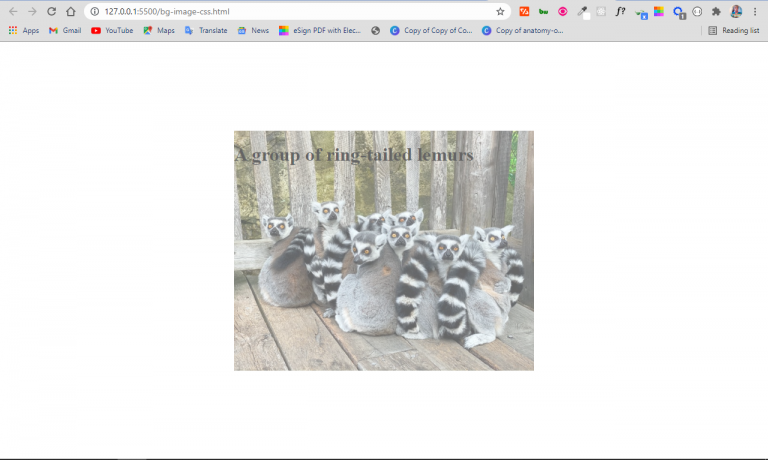 Transparent Background – Image Opacity in CSS and HTML - Pushpendra Chauhan